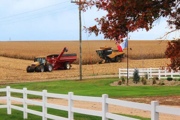 Harvest Fences